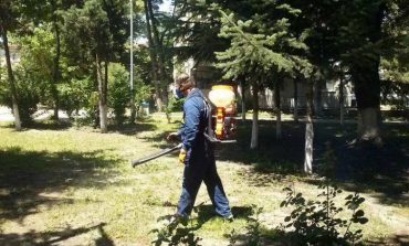 Правят втора обработка на тревните площи срещу кърлежи във Варна