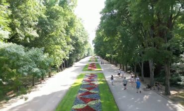 Сдружение събира данни за да направи зелен регистър на Морската градина